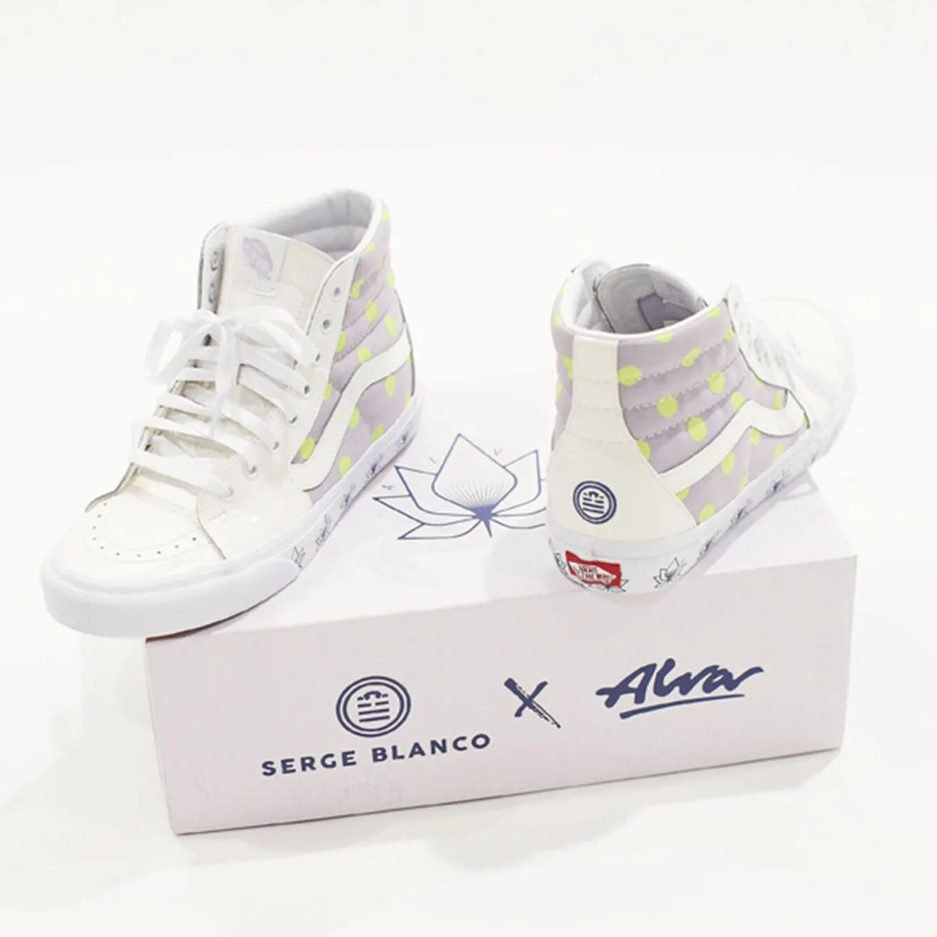 Sneakers>SERGE BLANCO Sk8-Hi Dots VANS x ANTHRACITE